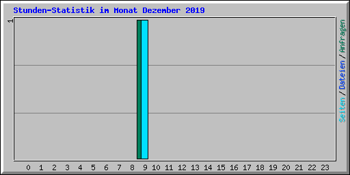 Stunden-Statistik im Monat Dezember 2019